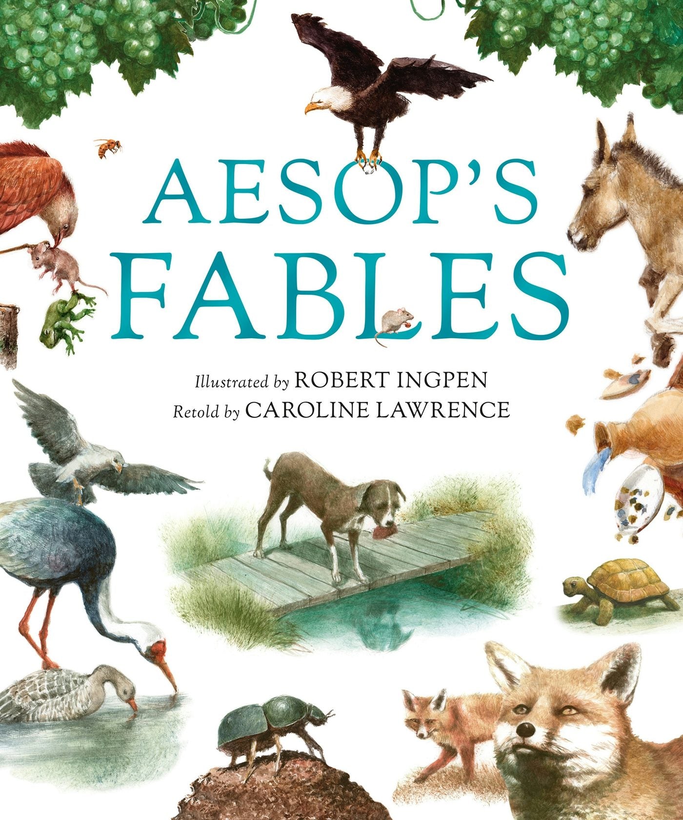 Book cover image for Aesop's Fables ISBN: 9781913519902